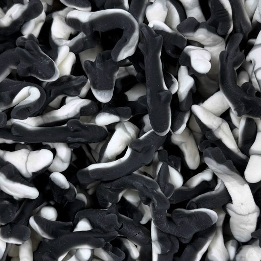 Black and White Sharks