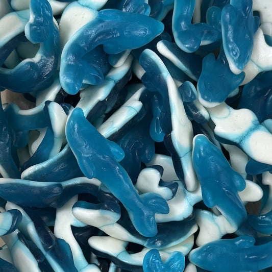 Blue & White Sharks